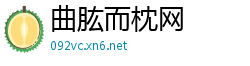 曲肱而枕网